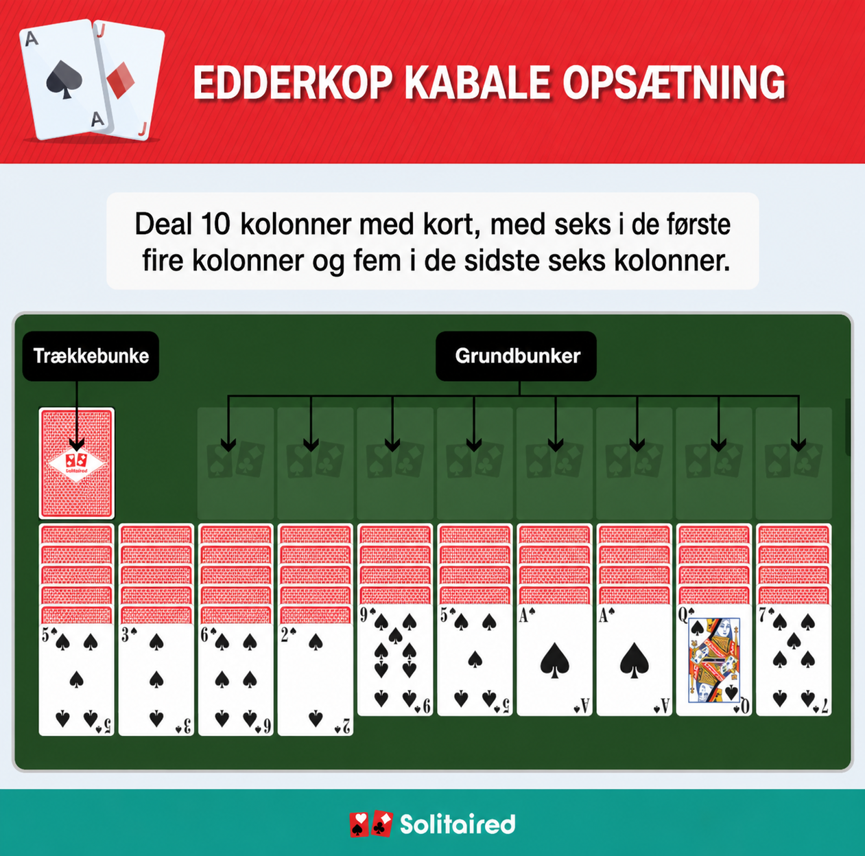 Spider Solitaire setup