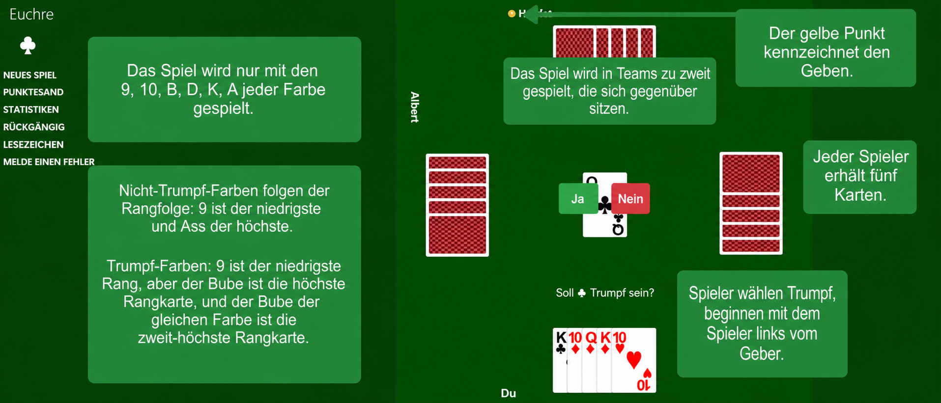Euchre setup