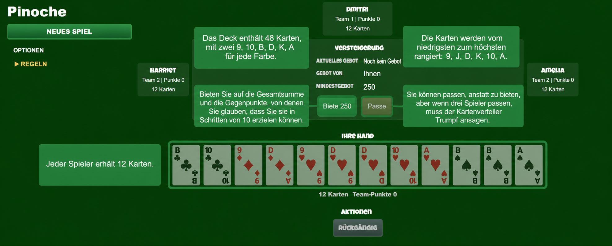 Pinochle card game setup