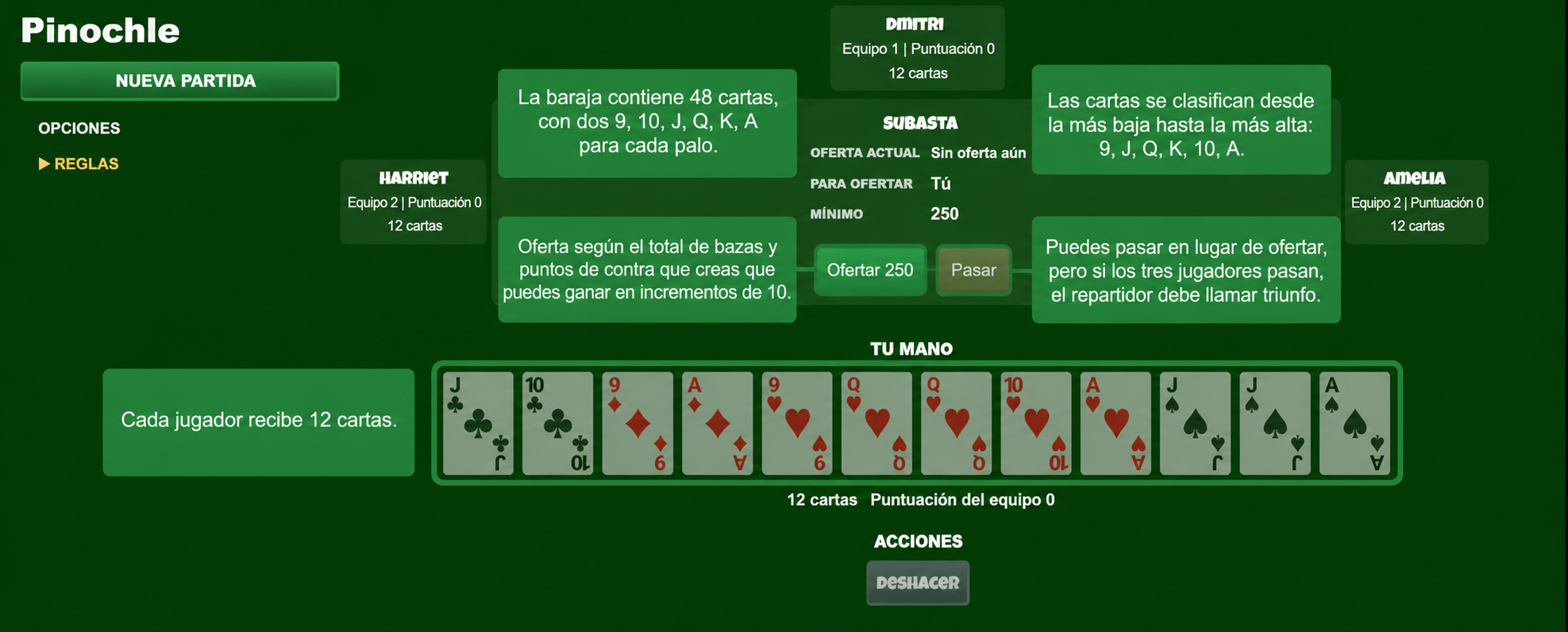 Pinochle card game setup