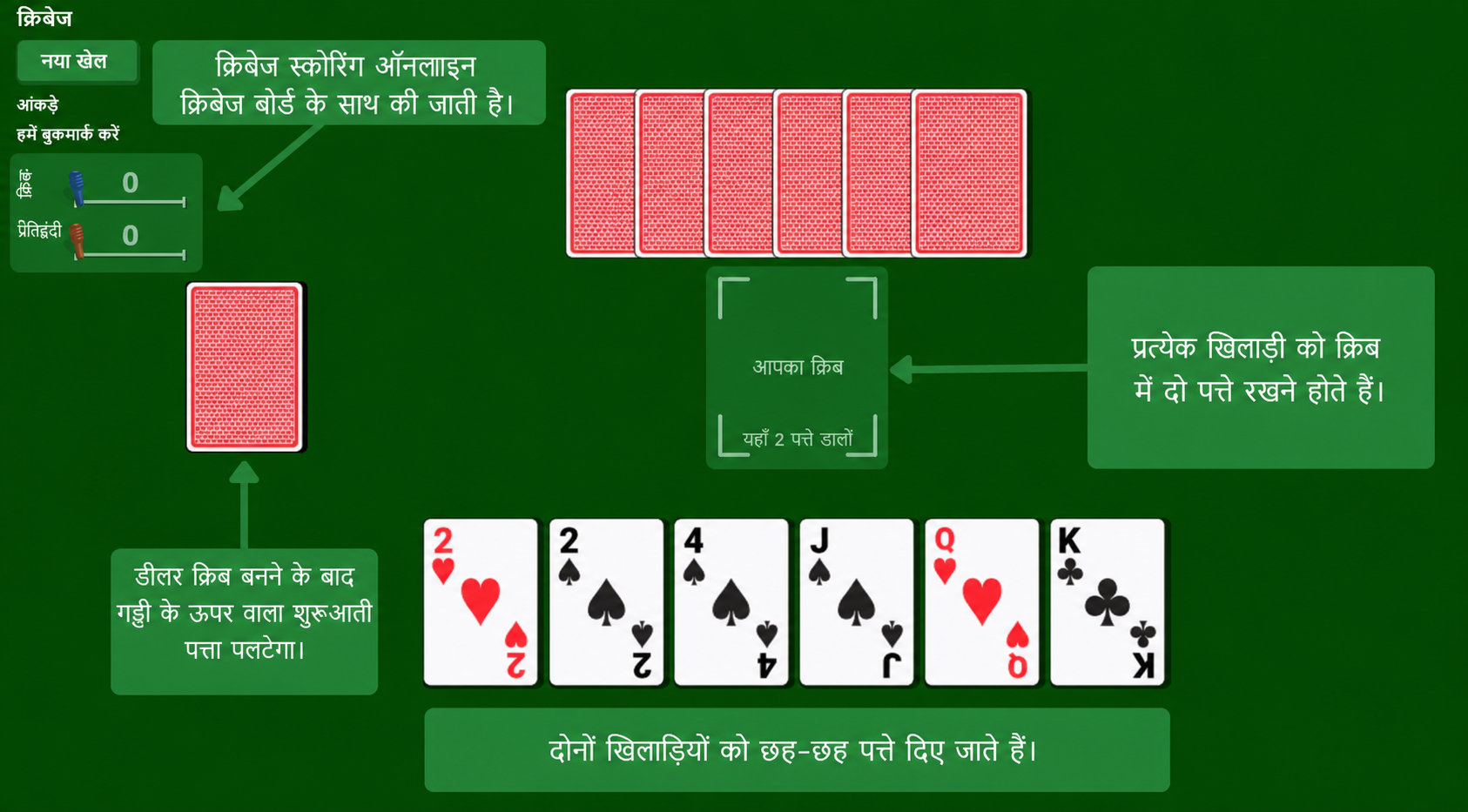 Cribbage card game setup