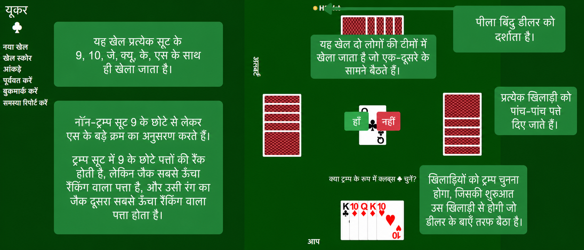 Euchre setup