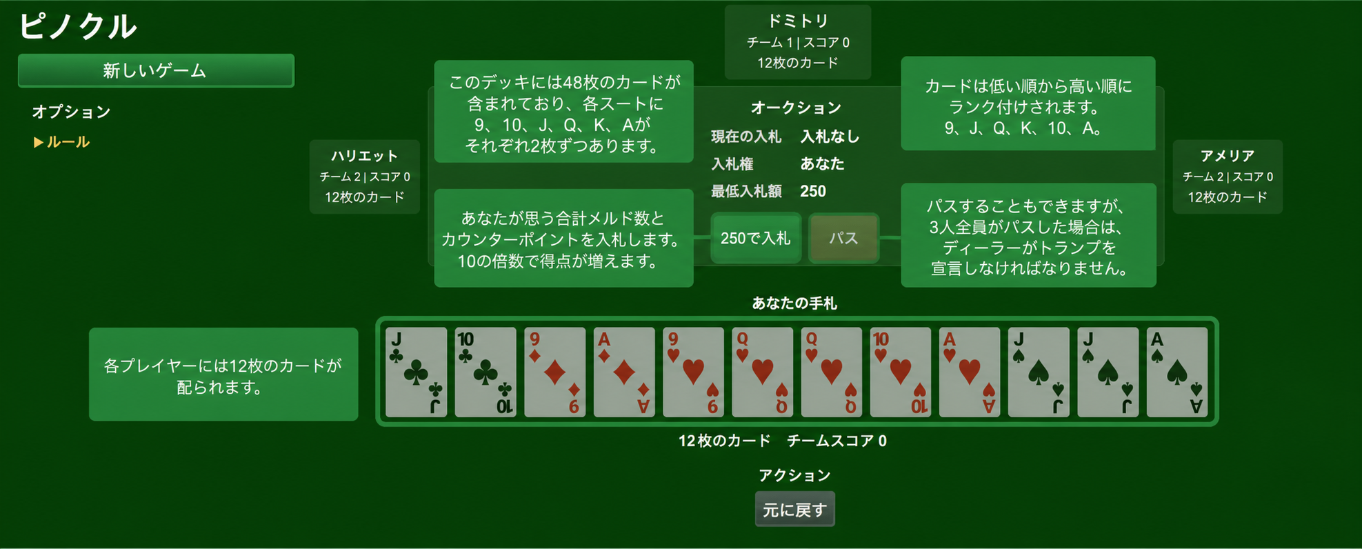 Pinochle card game setup