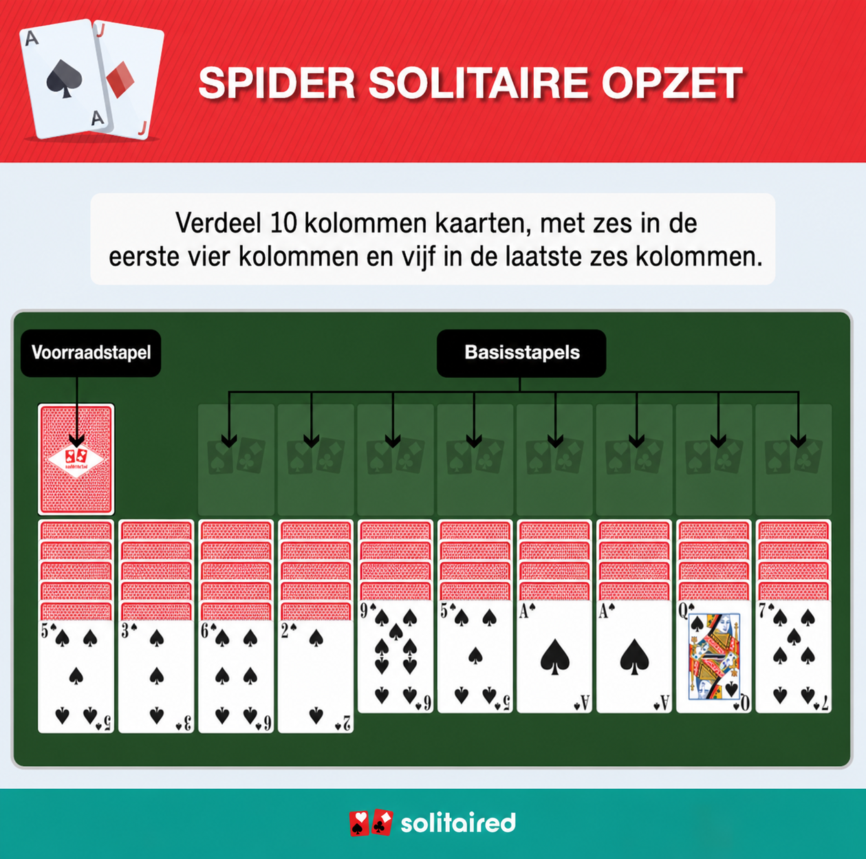 Spider Solitaire setup