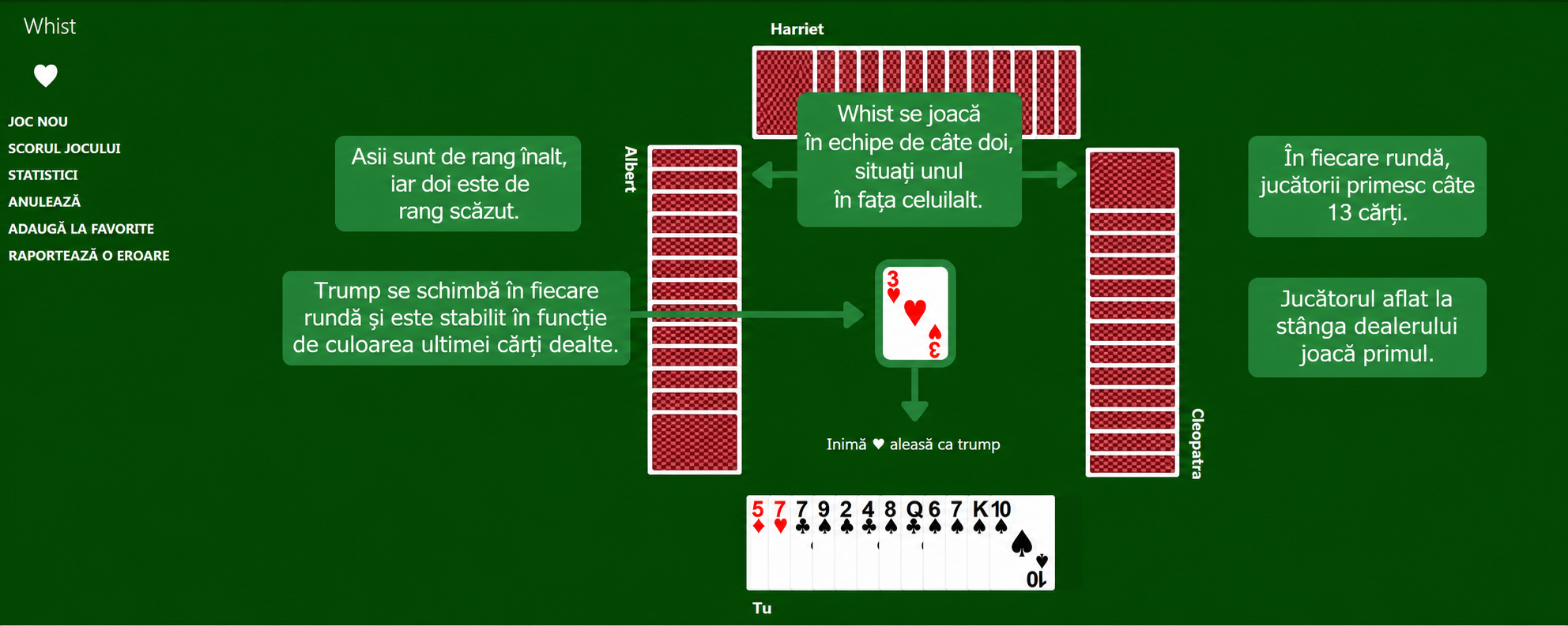 Whist setup