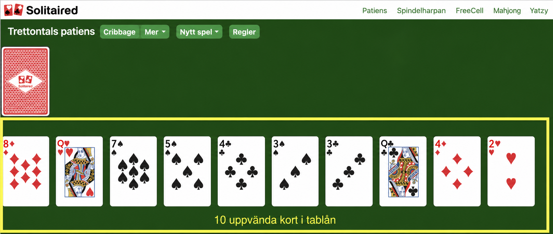 Hur du ställer upp Thirteens patiens