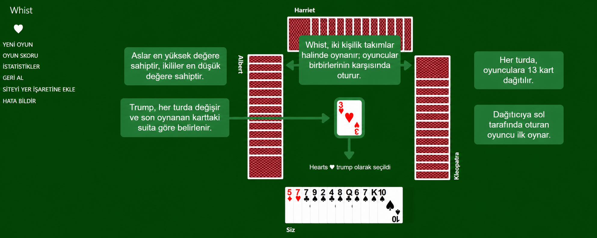 Whist setup