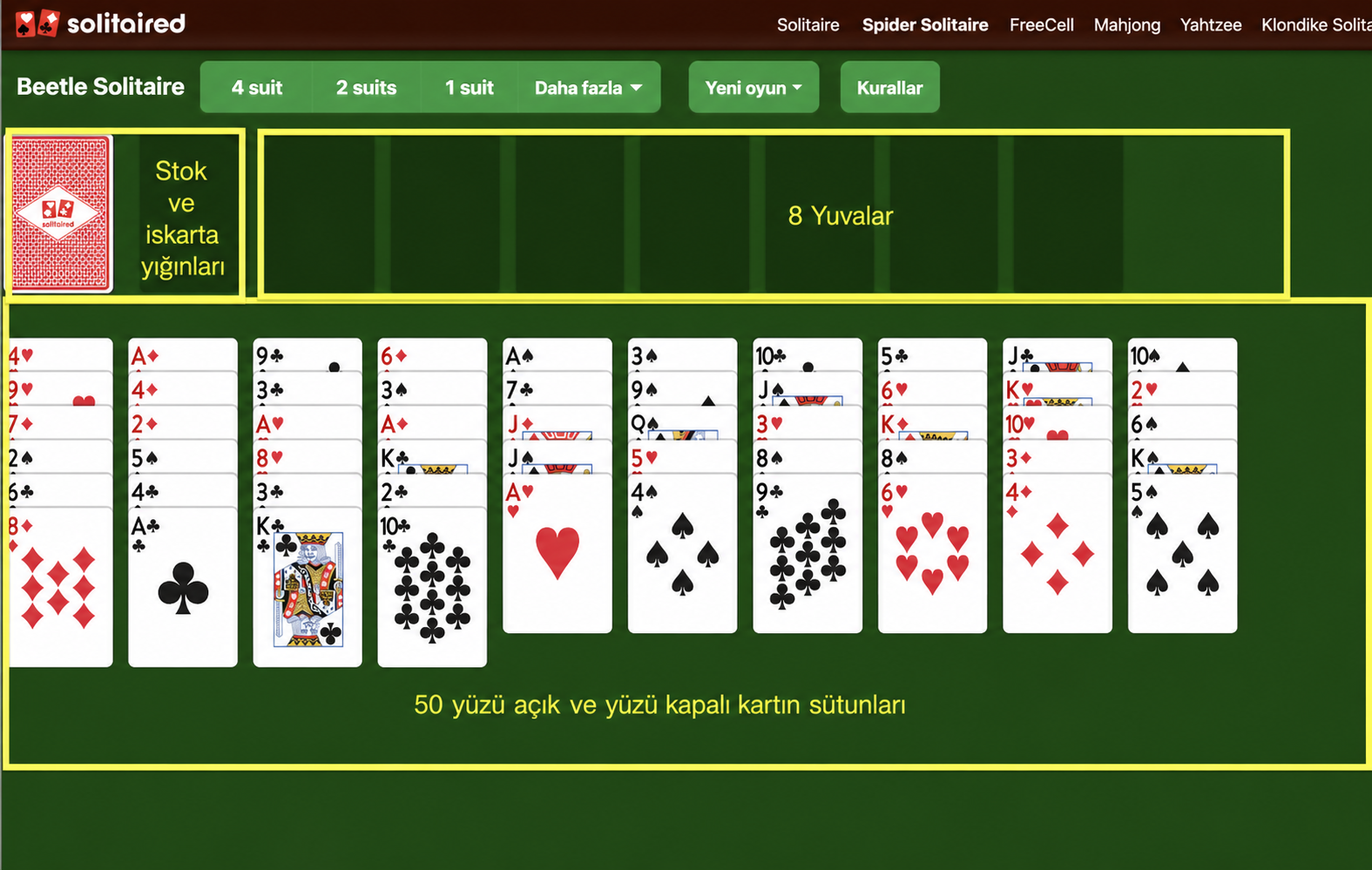 Beetle Solitaire oyunu nasıl kurulur